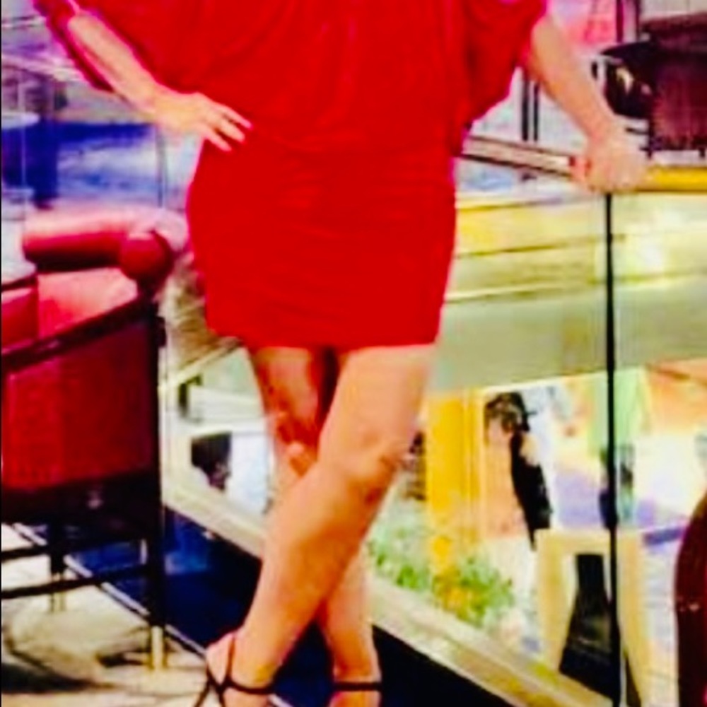 Cache Dresses Size 8 - image 1